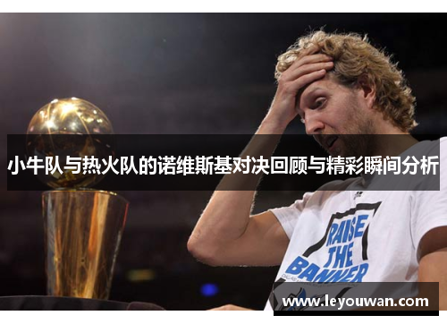 小牛队与热火队的诺维斯基对决回顾与精彩瞬间分析